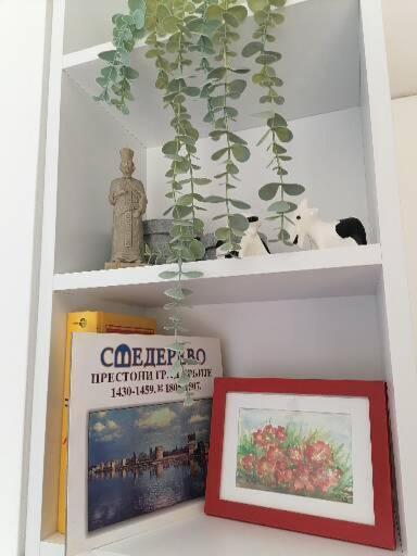 Anka Apartman Smederevo Extérieur photo