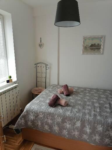 Anka Apartman Smederevo Extérieur photo